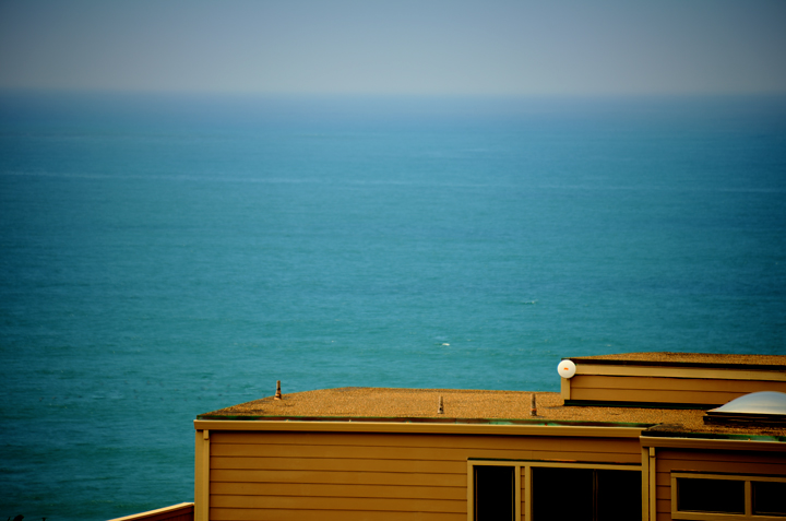 Rooftop with Mimosa dish and ocean horizon